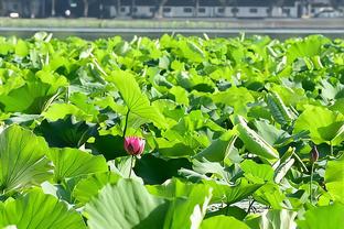 迪亚曼蒂：莫拉蒂曾希望引进我，但穆帅不认识我并选择签下斯内德